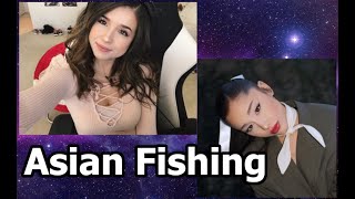 Pokimane, Ariana Grande, and Asian Fishing