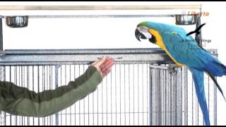 Liberta Canterbury Parrot Cage