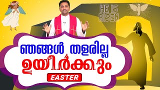 ഓരോ വേദനയും മഹത്വത്തിലേക്ക് Easter Fr. Jince Cheenkallel HGN