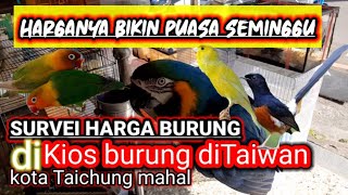 Survei harga burung diTaiwan|kota taichung mahal2