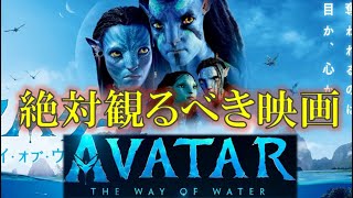 【映画レビュー】アバター：ウェイ・オブ・ウォーター　ネタバレなし！絶対に映画館で観るべき超大作SFアクション！どんな方にこの映画向いてる？どんな映画に似てる？【絶対観たくなる】