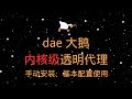 dae - 大鹅,专业吃鹅系列教程 | 手动安装、基本配置使用 | 内核级高性能透明代理工具 | Real Direct真直连