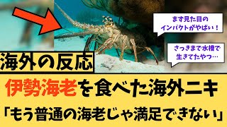 【海外の反応】伊勢海老を食べた海外ニキ「もう普通のエビじゃ満足できないw」