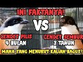 Tetap Semangat Buat Yang Punya 