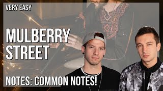 How to play Mulberry Street by Twenty One Pilots on Tin Whistle (Tutorial)