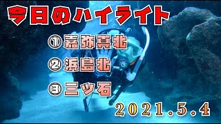 2021年5月4日のダイビングハイライト【石垣島】梅雨入りしちゃうのか〜？？