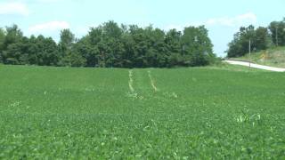Reduced Compaction by ET Works