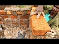 our house is taking shape. day3 of walling. building in the rural 🇰🇪