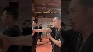 Master the Wing Chun Training Routine: Unleash Your Inner Strength  - Master Tu Tengyao