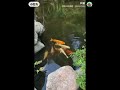 龔饕耆美好生活分享：子非魚🐠，安知魚🐠之乐其乐？😄（28 9 2024星期六）2tv二视twobroadcast吐视