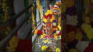 శివలింగ ప్రతిష్ట మహోత్సవము | Narmadeswar Shivalinga Pratista | Shiva Mahadev | #shivaratri2024