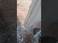 wall cutting