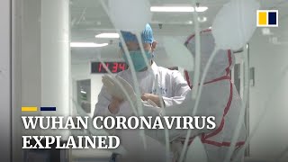What we know about China’s mystery Wuhan coronavirus