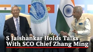 S Jaishankar Holds Talks With SCO Chief Zhang Ming In Goa
