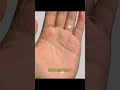 🔥手相中的福祿壽三宮 🤚☯看看是不是跟你一樣的手紋， palmistry 手相