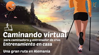 🏃🏼 Caminando virtual para caminadora y entrenador de cross | vista maravillosa