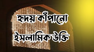 হৃদয় কাঁপানো ইসলামিক উক্তি সবার জেনে রাখুন |