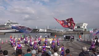 桜湖頭２－第３回横浜よさこい祭