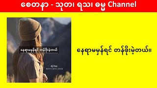 နေရာမမှန်ရင် တန်ဖိုးမဲ့တယ် #သုတရသစာပေများ