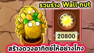 ร่างรวม Wall nut โดนกินแล้วให้ดวงอาทิตย์เยอะมาก Plants Vs Zombies Fusion Mod