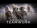 The Secret Of Teamwork -  Best Teamwork Motivational Video