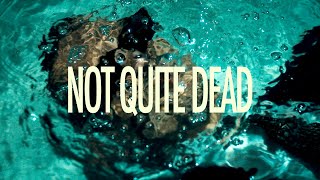 Dabbla x JaySun - Not Quite Dead (Official Video)