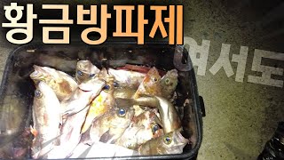 💢 갯바위에서 뺨맞고 방파제에 화풀이 -2-