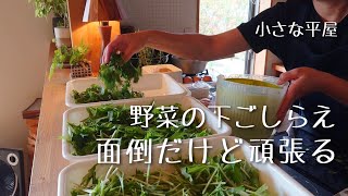 【暮らし】40代主婦vlog｜日常の家事ルーティン｜１人昼ごはん｜料理｜下ごしらえ｜洗濯｜共働き夫婦｜子育て｜小さな家｜平屋｜living in japan