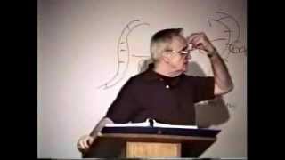 345 The Secret Serpent