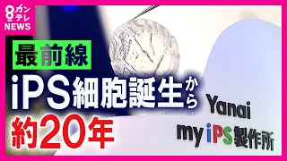【iPS細胞】最先端研究施設が完成 作製費用約5000万円→100万円程度に 細胞培養を自動化〈カンテレNEWS〉