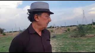 Details on Date fruit farming Kutch Gujarat by Mr.P K Jadeja ખારેક ની ખેતી કચ્છ માં amazing video