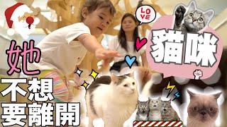 小女兒一次見到10隻貓咪🐱😍【CATS ARE THE BOSS HERE😂】