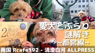 【わんわんWalt】愛犬とぶらり謎解き タカラッシュ！ 屋外周遊型リアル宝探し ｜マルプー｜愛犬｜旅｜散歩｜都営線