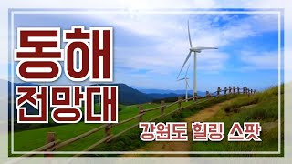 여기서 키스하면 영원히 헤어지지 않는데 동해전망대 랜선산책 east sea observatory