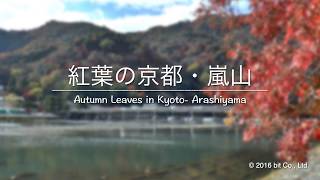 Autumn leaves in Kyoto Arashiyama