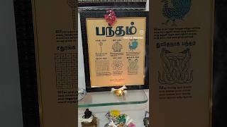 இவ்வளவு முக்கியத்துவம் வாய்ந்த பந்தம் வீட்டில் வைத்து நன்மை பெறுங்கள் #tamil #muruganthunai