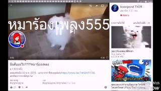 ฉลองครบ20ซับบบบบบ รับคำท้าบางข้อ และเปิดQ\u0026A(ลองใช้video showครั้งแรกใช้ไม่ค่อยเป็น)