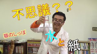 【まちゼミ】水と紙の不思議？？