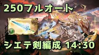 【グラブル】風古戦場250hellフルオート シエテ剣編成 14分30秒【2024】