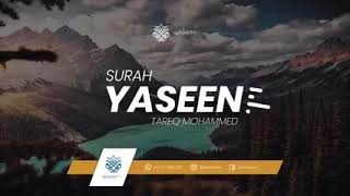 Talawat of surah Yaseen ♥️💞🥰☺️