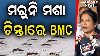 ଯେଉଁ କେମିକାଲ ପକାଉଥିଲୁ ମଶା ମରୁନାହାନ୍ତି, ନୂଆ ପକାହେଉଛି Daya-Gangua ସଫାହେଲେ ଏତେ ମଶା ହେବେନି Sulochana Das