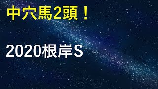 【回収率66%】データから見る2020根岸S【ワイドファラオ】