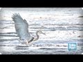 Save Malibu Lagoon⎢A TakePart TakesOn Mother's Day Special!⎢TakePart TV