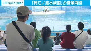 新江ノ島水族館が再開　イルカショーなど一部休止も(20/05/31)