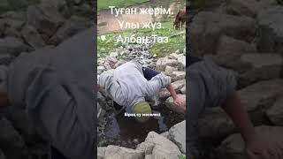 Туған жерім. Тоғызбұлақ, Райымбек ауданы.