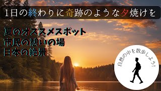 【夏の絶景2024】熊本・江津湖の美しい風景を満喫！癒しのひと時を