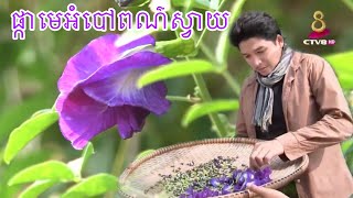 អត្ថប្រយោជន៍នៃការដាំផ្កាមេអំបៅពណ៌ស្វាយ