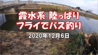 霞水系 陸っぱり フライでバス釣り 2020年12月6日