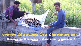 Fishing | கிணத்துல இப்படியும் மீன் பிடிக்கலாமா|கொத்து கொத்தா மீன் மட்டுதய்யா