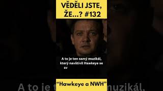 VĚDĚLI jste o PROPOJENÍ seriálu HAWKEYE a SPIDER-MANa No Way Home ? | Zajímavosti z MCU (132)